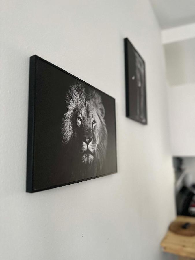 Appartement Superbe Maison 4 Personnes Avec Video-projecteur *